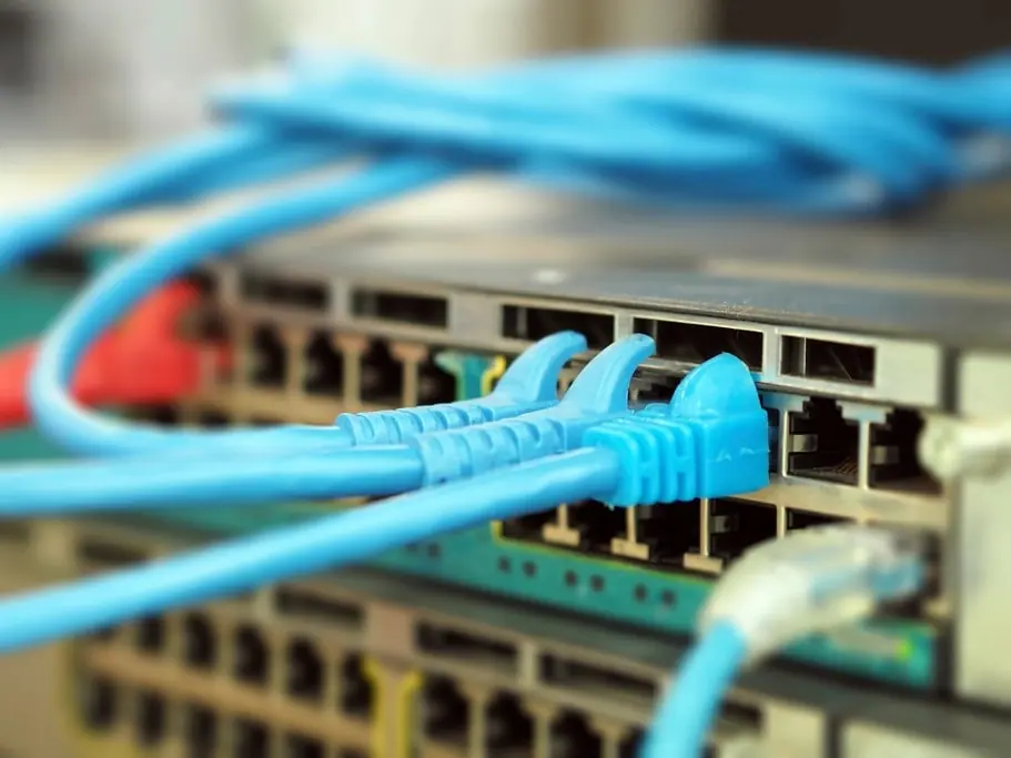 Blue network cables plugged into a network switch